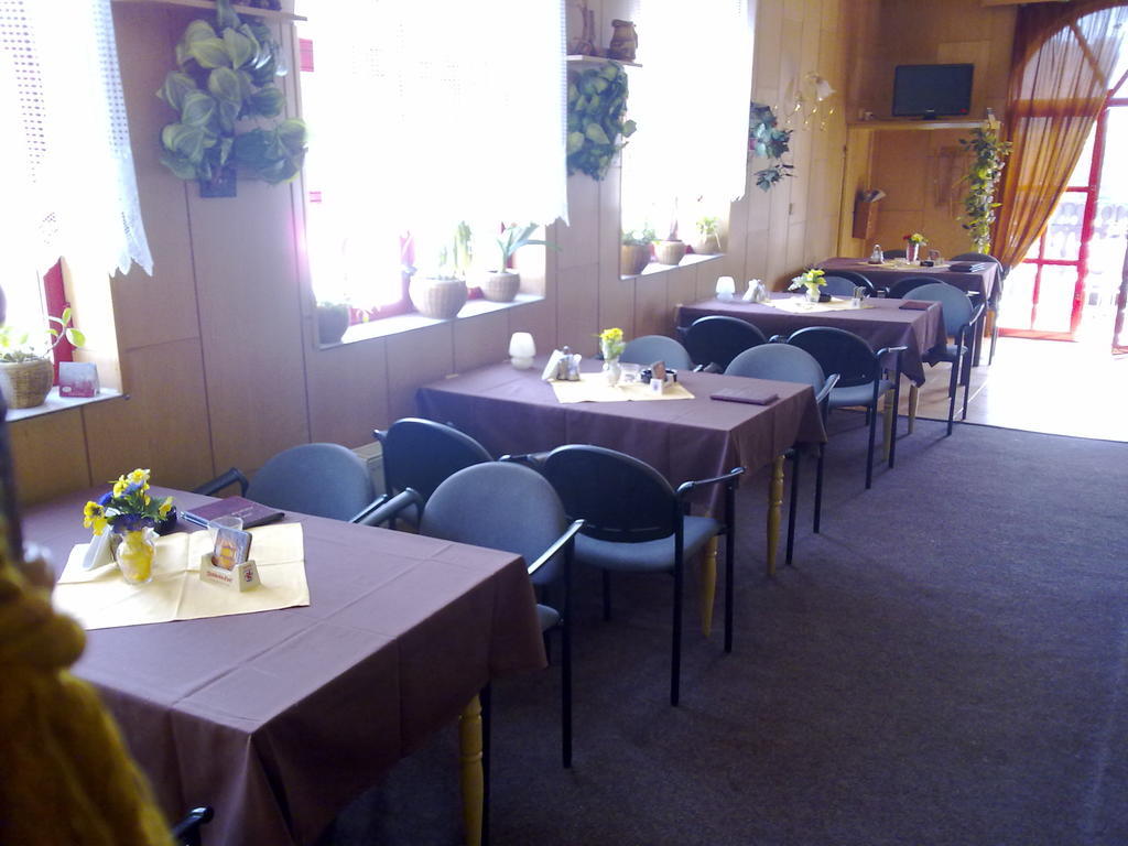 Hotel Studanka à Orlová Extérieur photo